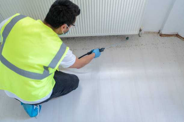 Best Pest Control for Warehouses  in Merrydale, LA